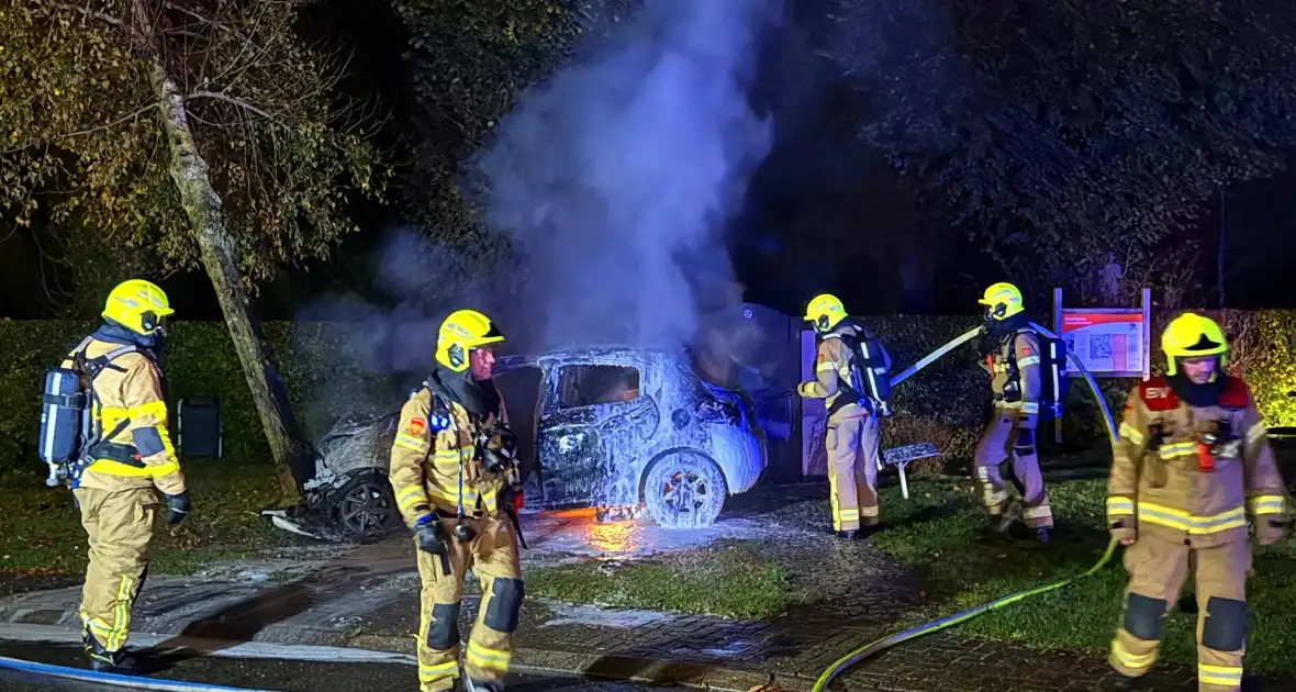 Auto uitgebrand na crash tegen boom - Foto 1