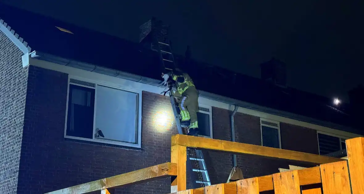 Brandweer weet kat uit dakgoot te pakken