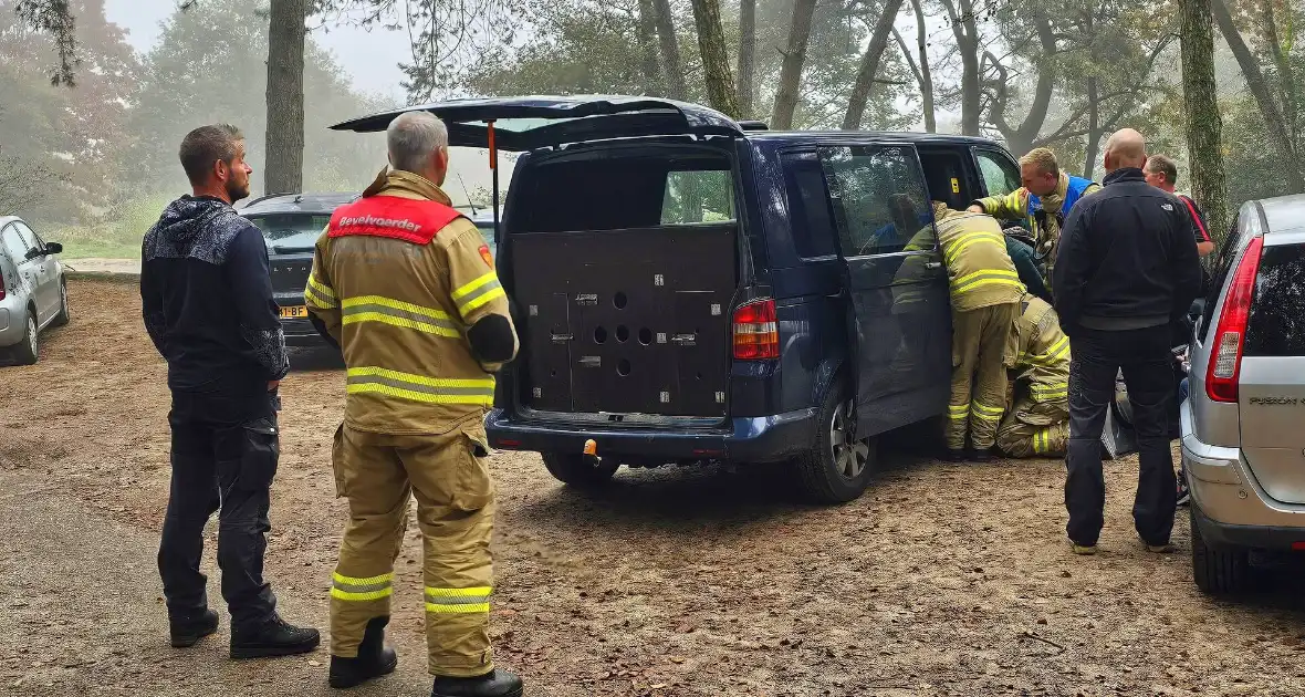 Brandweer redt hond uit benarde situatie - Foto 2