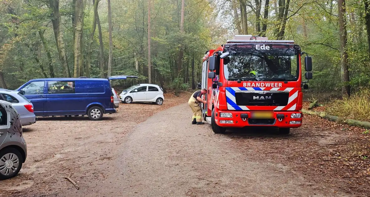 Brandweer redt hond uit benarde situatie - Foto 3