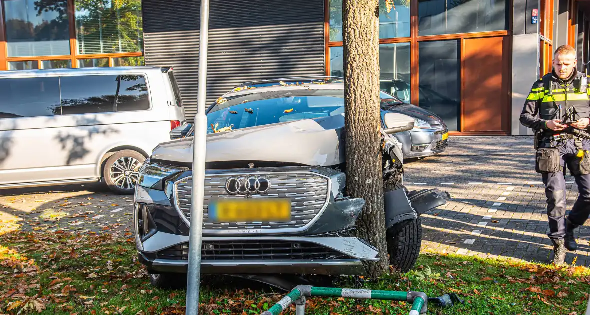 Auto botst tijdens keren op boom - Foto 3