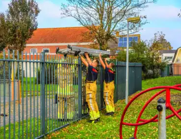 Brandweer redt kind uit boom