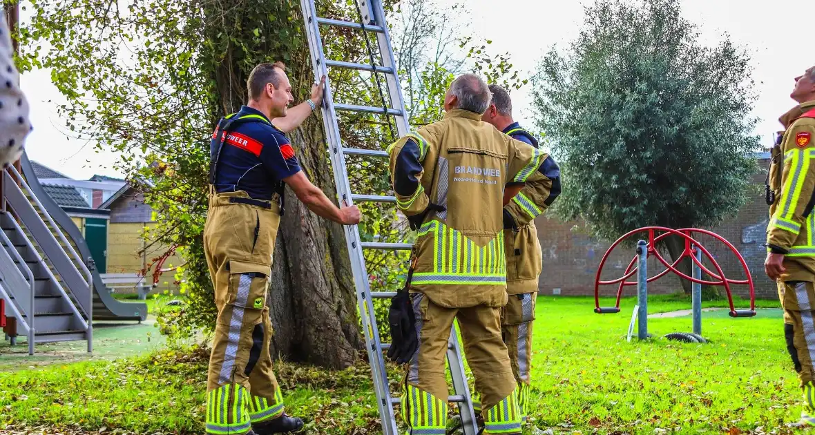 Brandweer redt kind uit boom - Foto 1