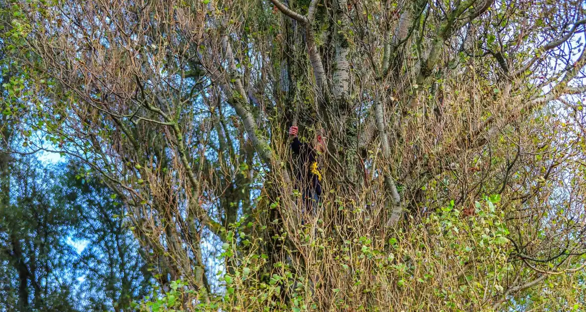 Brandweer redt kind uit boom - Foto 2