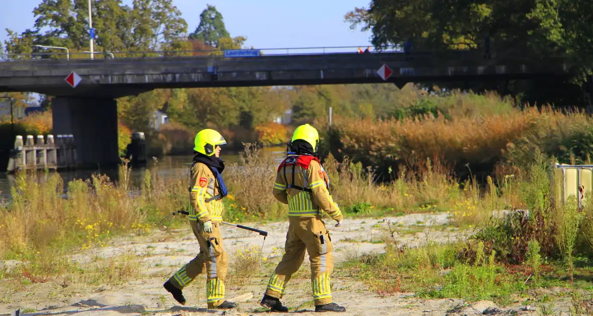 Brandweer zet alles op alles om hert te vangen - Foto 16