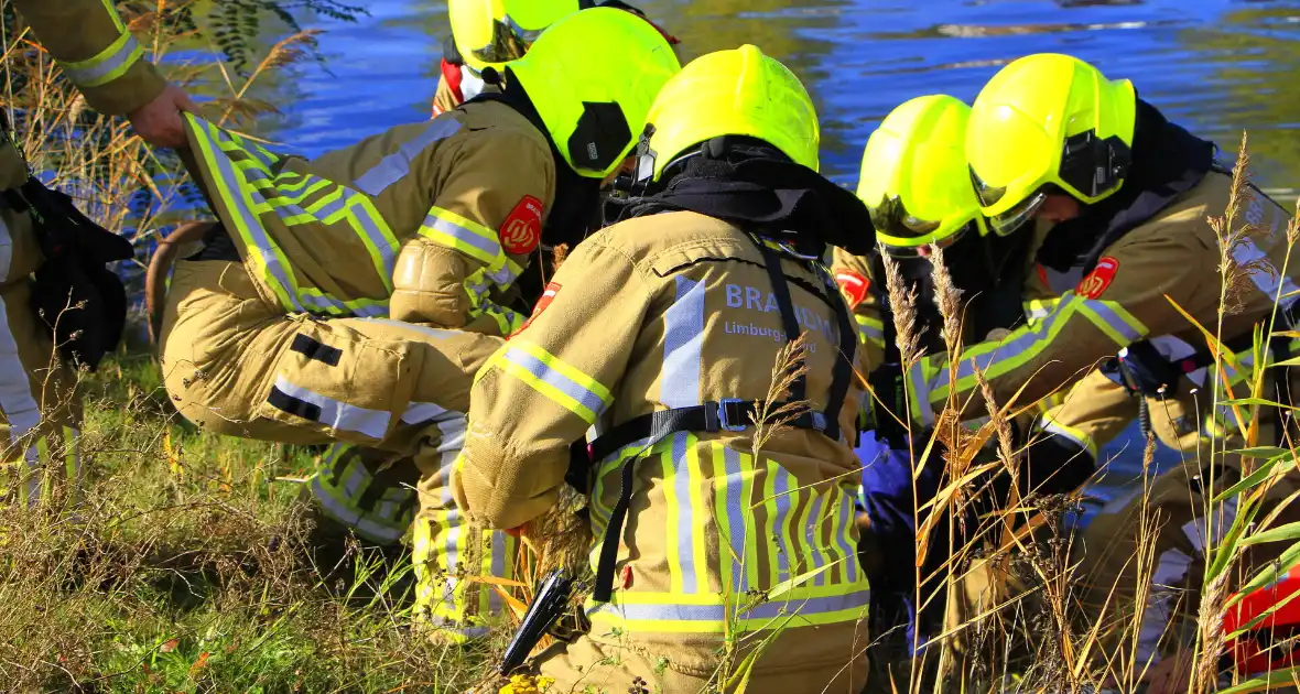 Brandweer zet alles op alles om hert te vangen - Foto 7