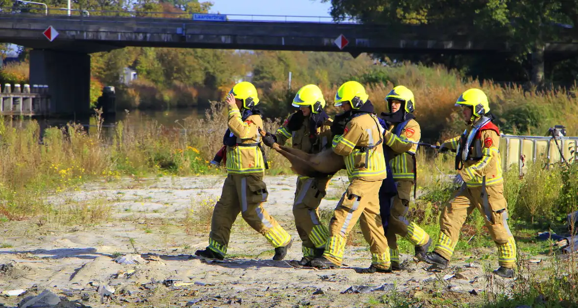 Brandweer zet alles op alles om hert te vangen - Foto 9