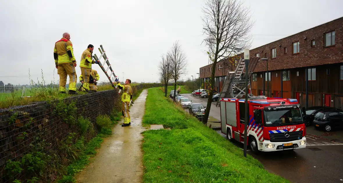 Brandweer op zoek naar vastzittend schaap - Foto 6