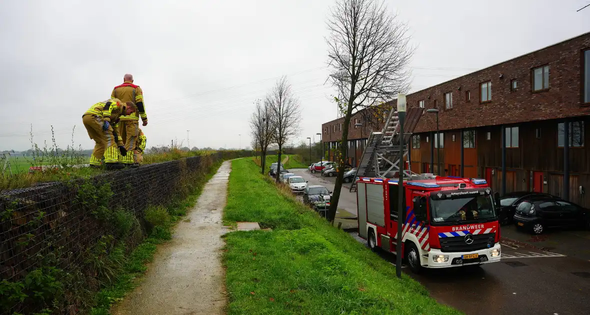 Brandweer op zoek naar vastzittend schaap - Foto 7