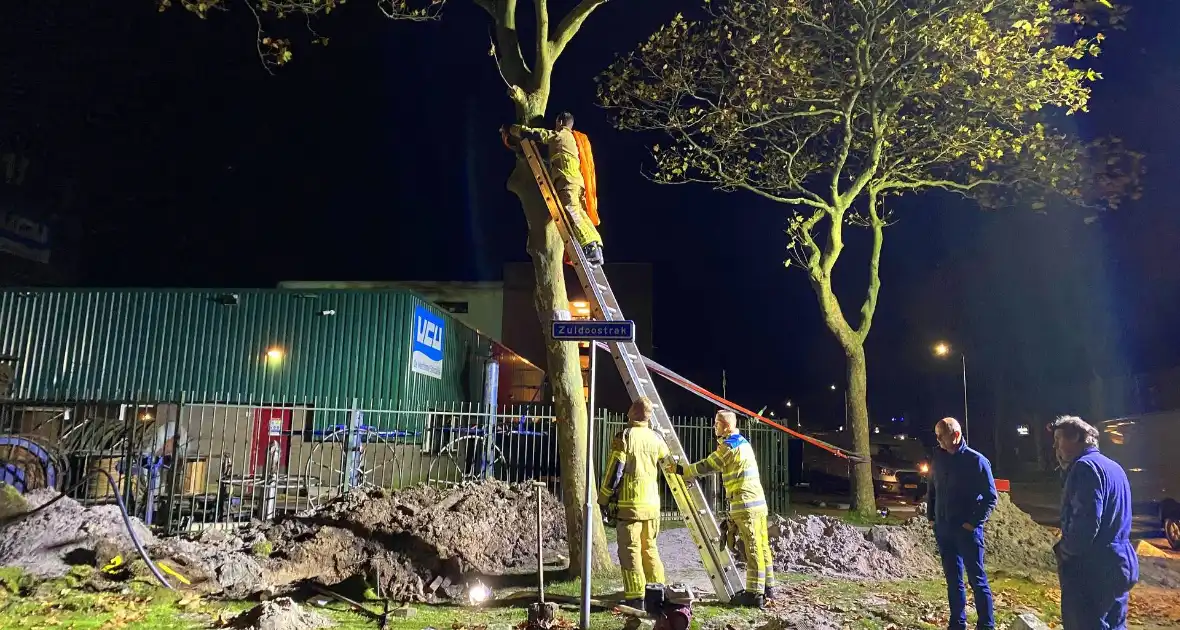 Boom dreigt om te vallen na wateroverlast en zorgt voor gevaar wegens gasleiding - Foto 7