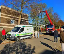 Poes Silvi door brandweer en dierenambulance gered uit boom