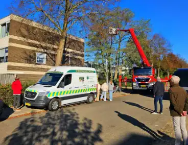 Poes Silvi door brandweer en dierenambulance gered uit boom