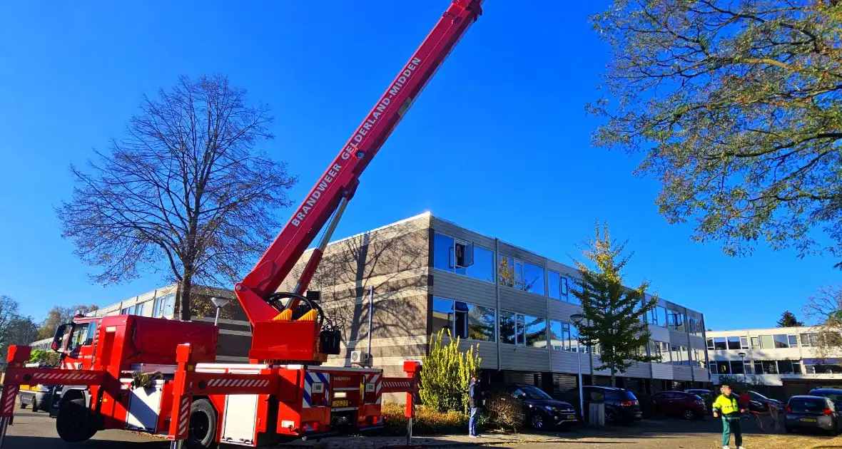 Poes Silvi door brandweer en dierenambulance gered uit boom - Foto 3