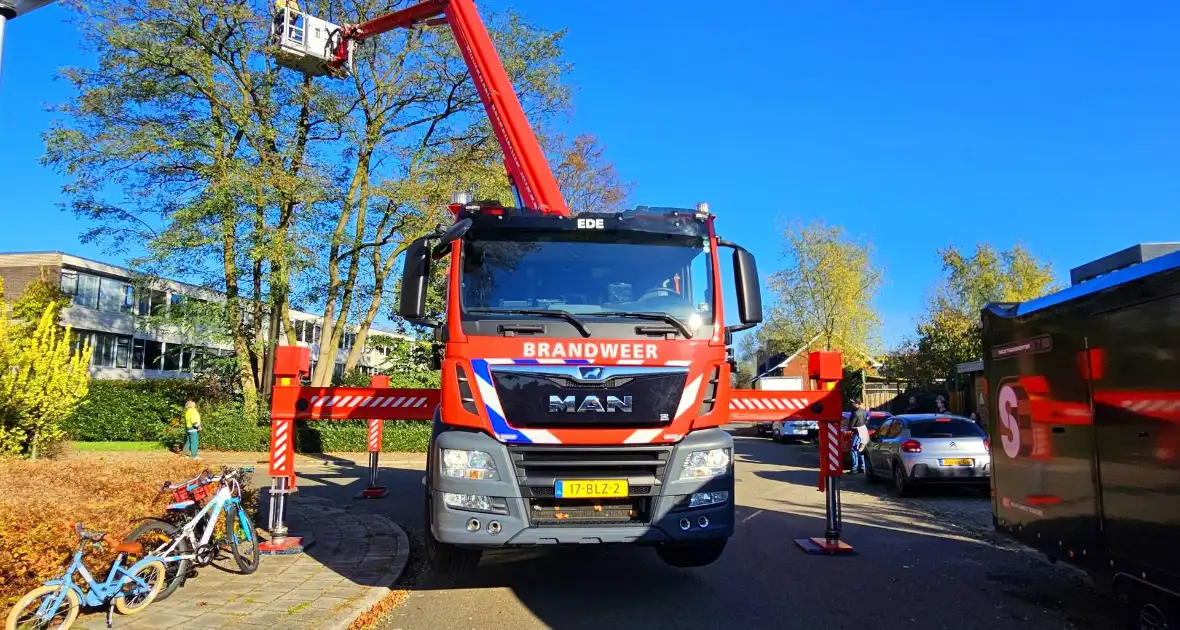 Poes Silvi door brandweer en dierenambulance gered uit boom - Foto 5