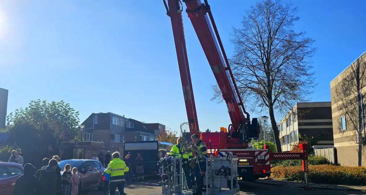 Poes Silvi door brandweer en dierenambulance gered uit boom - Foto 6