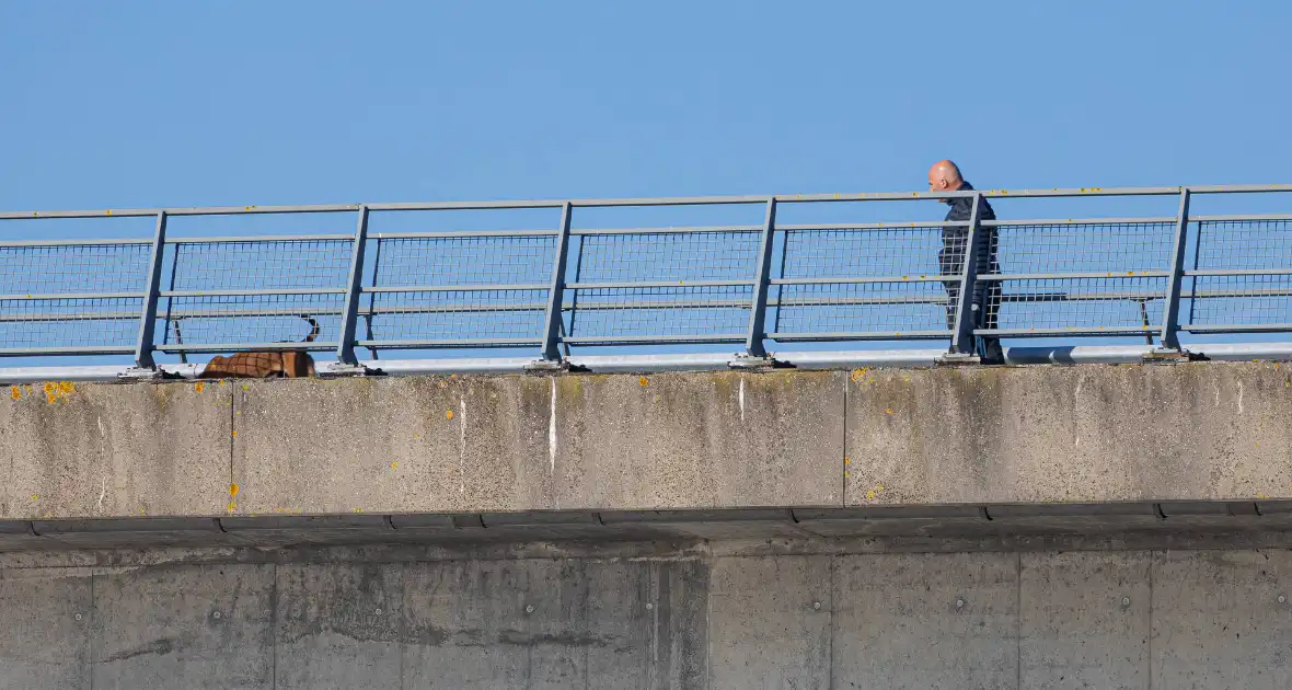 Snelweg deels afgesloten wegens politieonderzoek - Foto 11