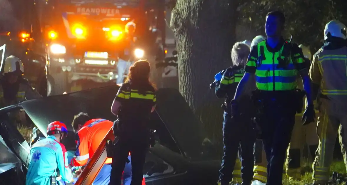 Auto botst tegen boom en belandt in greppel