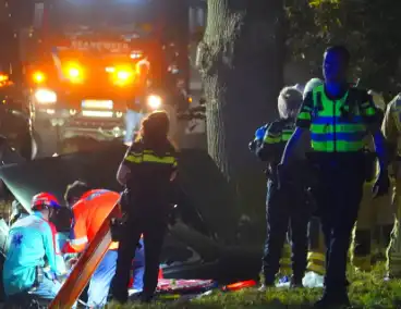 Auto botst tegen boom en belandt in greppel, 62-jarige bestuurder overleden