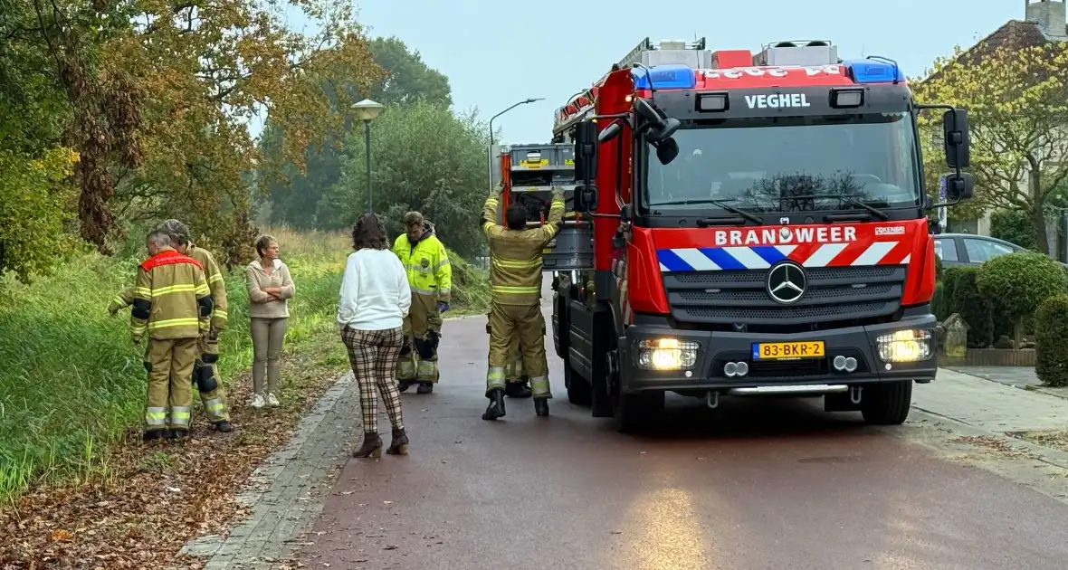 Scootmobiel raakt van de weg belandt in sloot - Foto 3