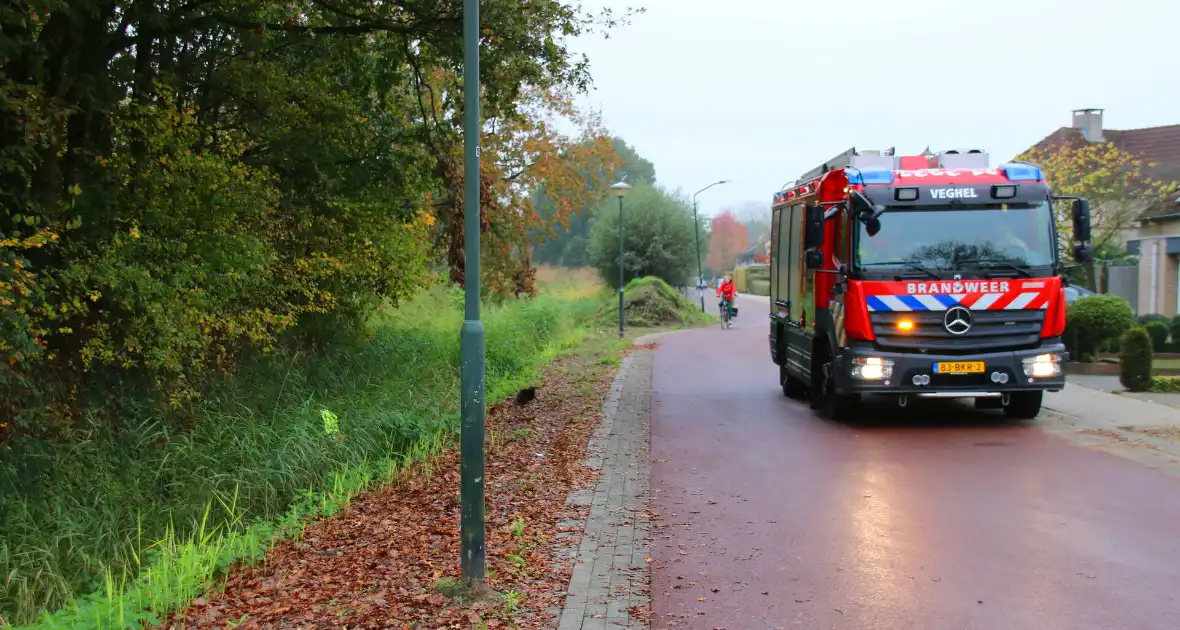 Scootmobiel raakt van de weg belandt in sloot - Foto 6