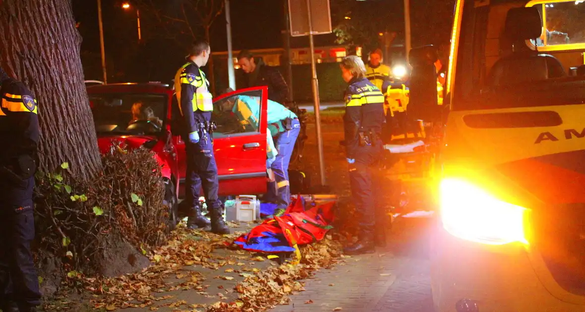 Automobiliste raakt van weg, knalt tegen boom en raakt gewond - Foto 1