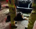 Bewoner gered uit woning na brand; hond opgevangen door dierenambulance