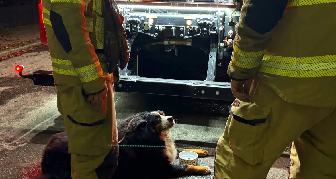 Bewoner gered uit woning na brand; hond opgevangen door dierenambulance - Foto 8