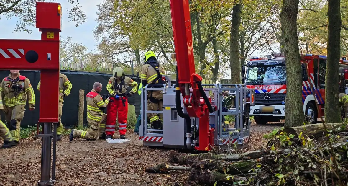 Hulpdiensten druk voor kat in boom