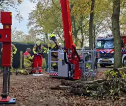 Hulpdiensten druk voor kat in boom