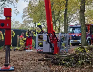 Hulpdiensten druk voor kat in boom