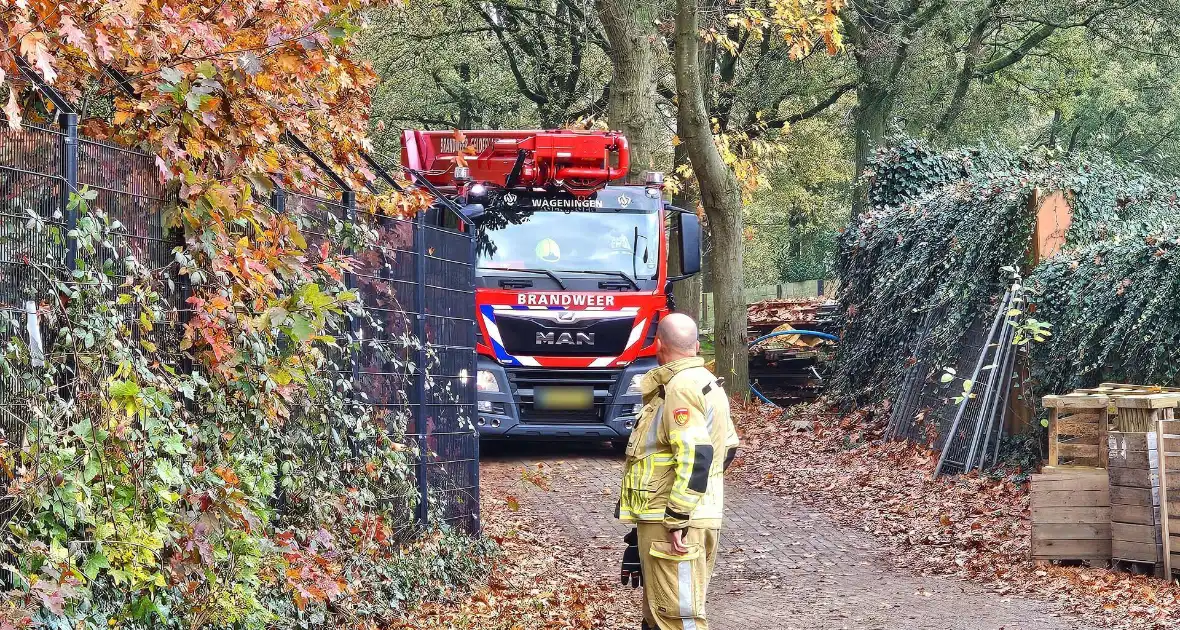 Hulpdiensten druk voor kat in boom - Foto 6