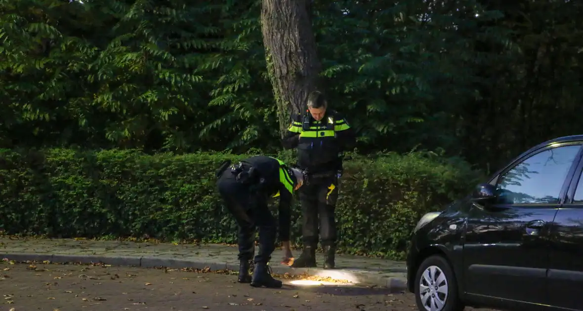 Bloedsporen in park aangetroffen, politie doet onderzoek - Foto 2