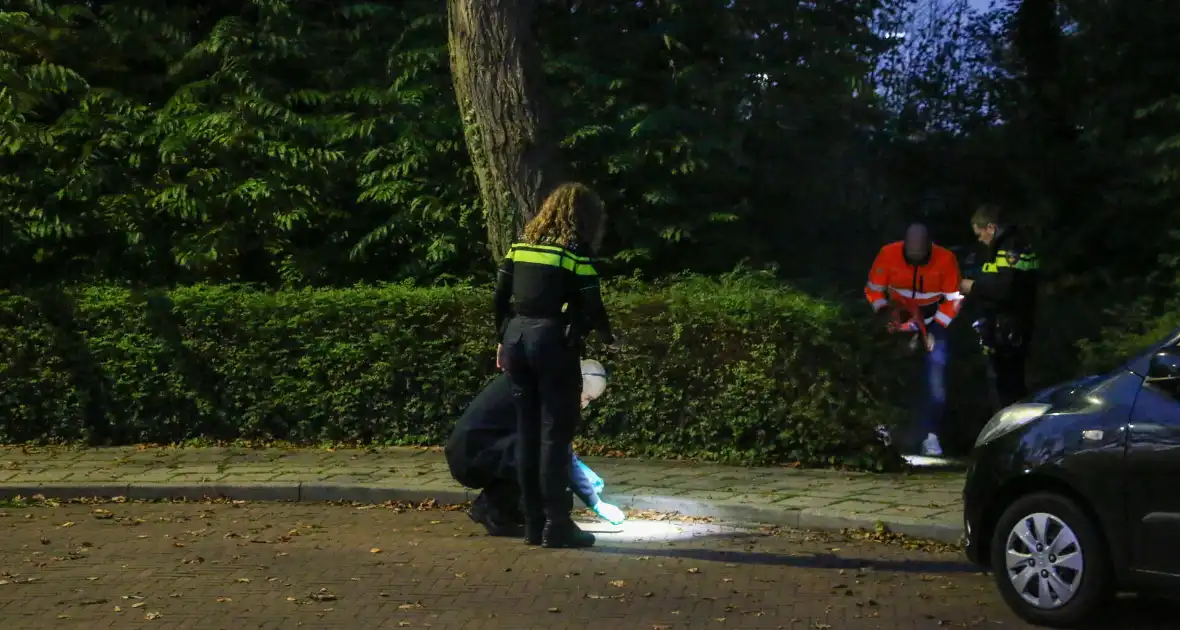 Bloedsporen in park aangetroffen, politie doet onderzoek - Foto 6