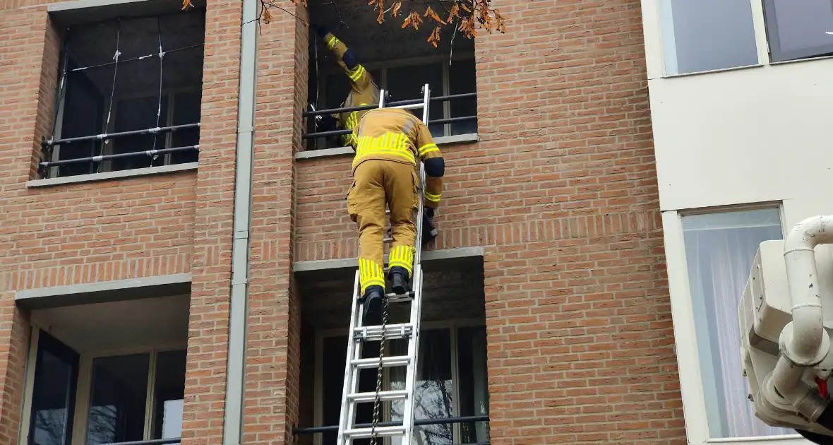 Brandweer redt duif die vast zit op balkon - Foto 5