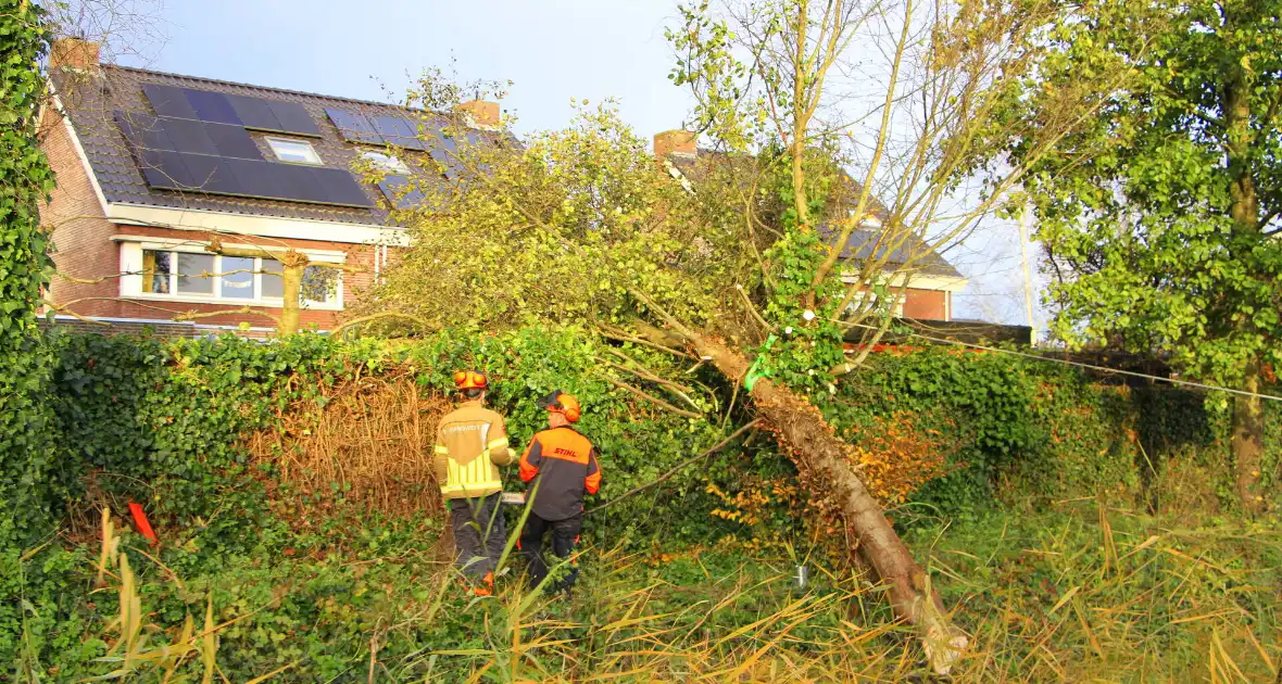 Omtrekken boom gaat verkeerd en valt op pergola