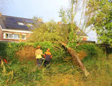 Omtrekken boom gaat verkeerd en valt op pergola