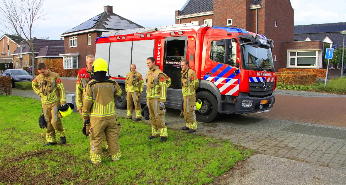 Omtrekken boom gaat verkeerd en valt op pergola - Foto 10