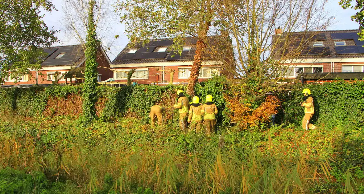 Omtrekken boom gaat verkeerd en valt op pergola - Foto 11