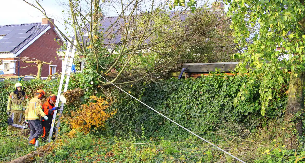 Omtrekken boom gaat verkeerd en valt op pergola - Foto 2