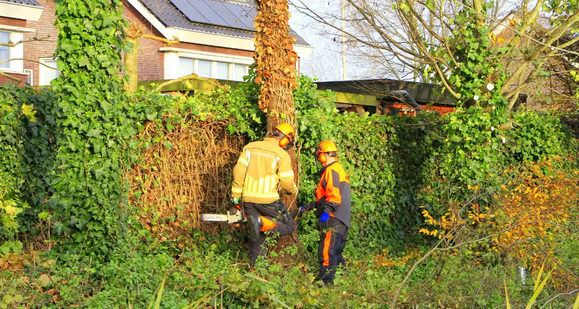 Omtrekken boom gaat verkeerd en valt op pergola - Foto 3