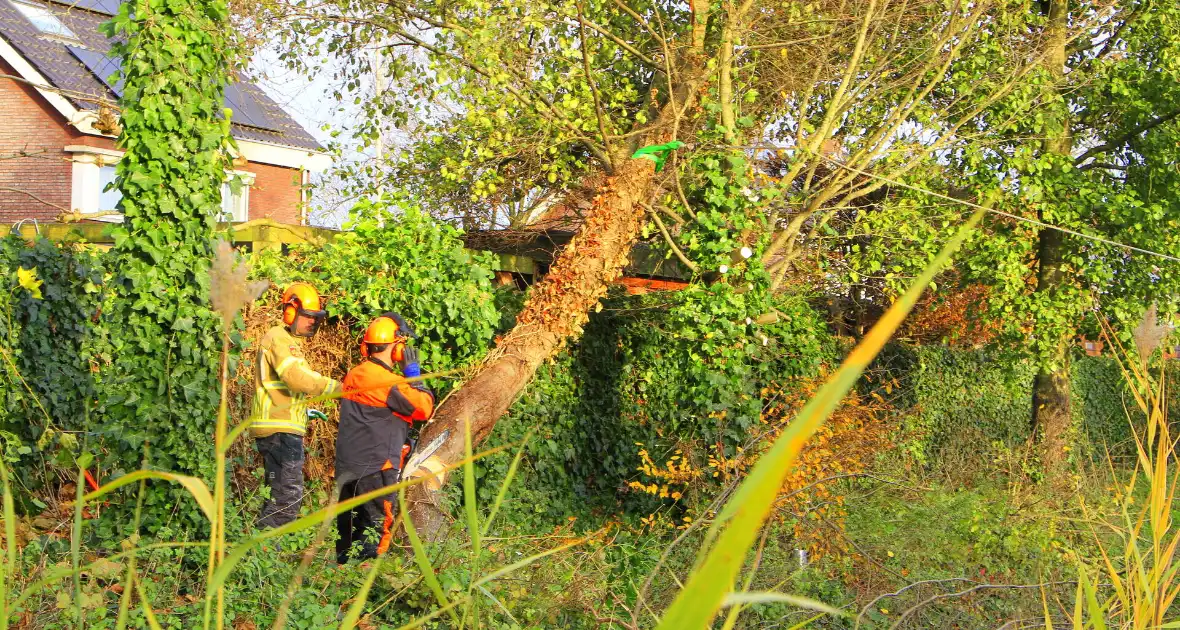 Omtrekken boom gaat verkeerd en valt op pergola - Foto 5