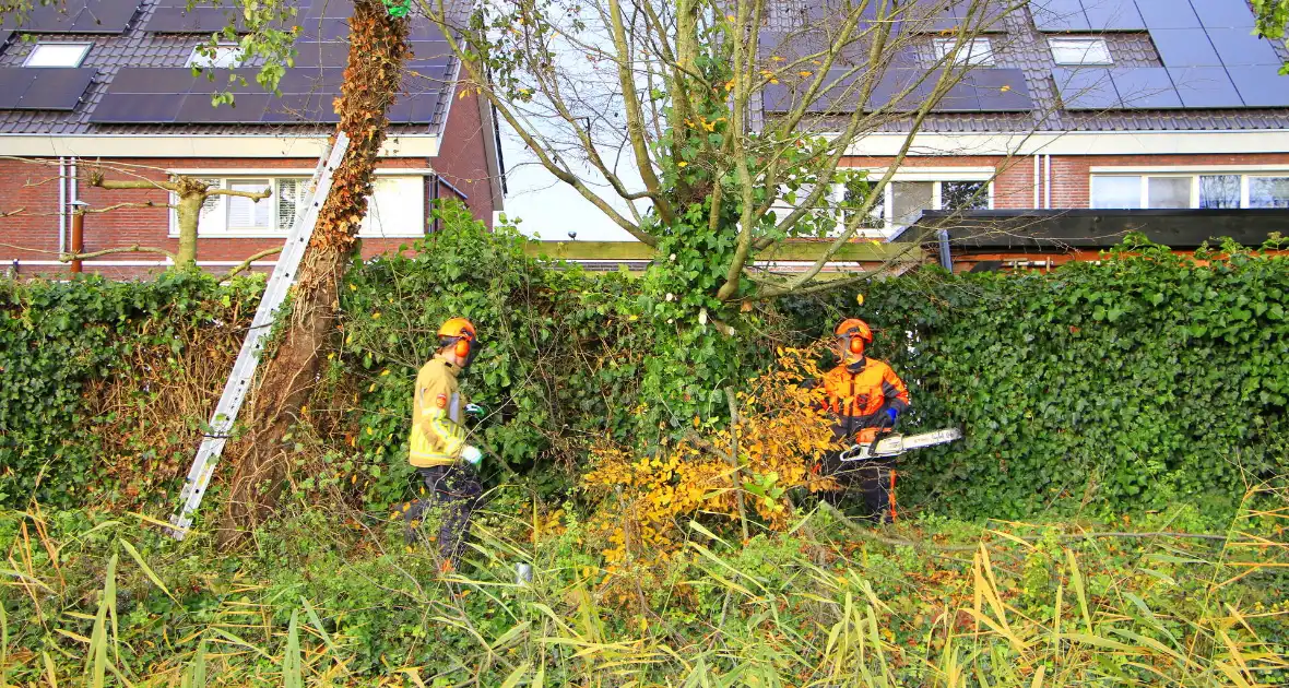 Omtrekken boom gaat verkeerd en valt op pergola - Foto 6