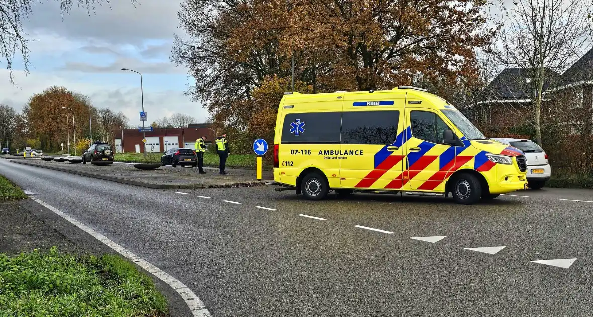 Automobilist knalt tegen boom - Foto 1