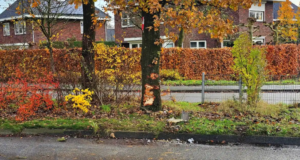 Automobilist knalt tegen boom - Foto 4