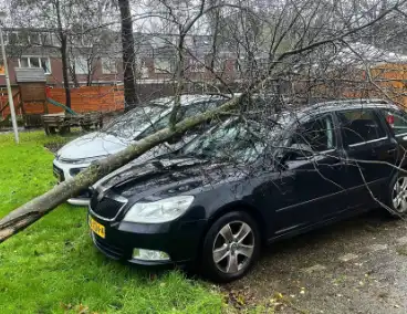 Kleine boom valt op personenauto