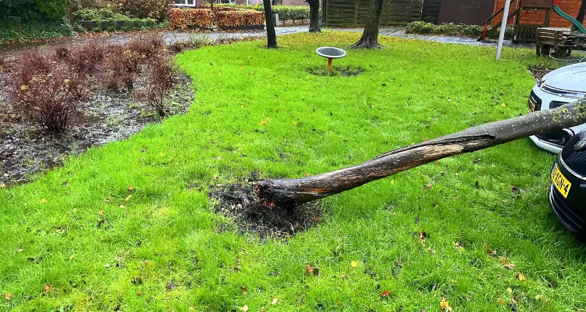 Kleine boom valt op personenauto - Foto 1