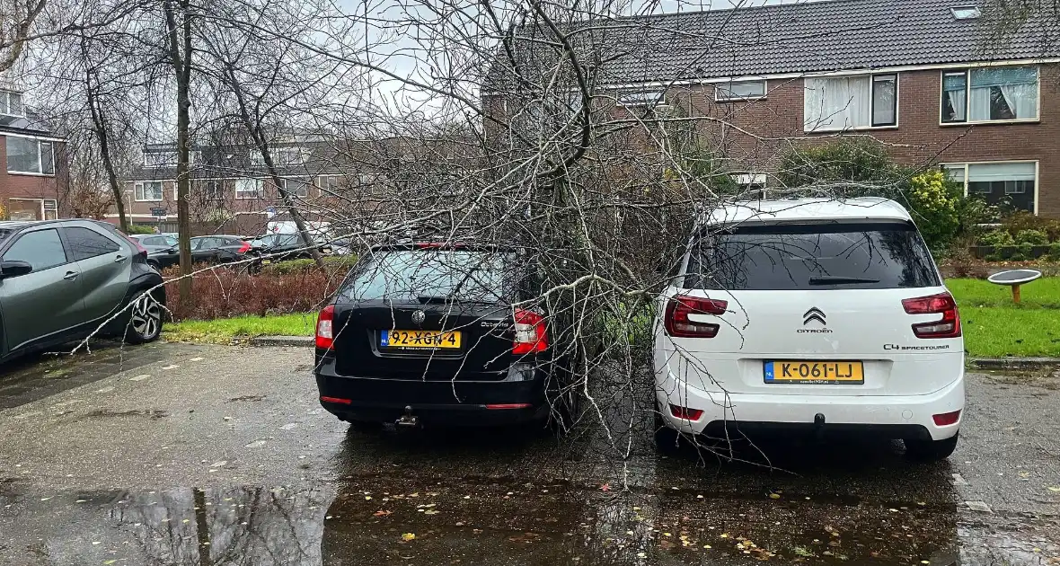 Kleine boom valt op personenauto - Foto 2