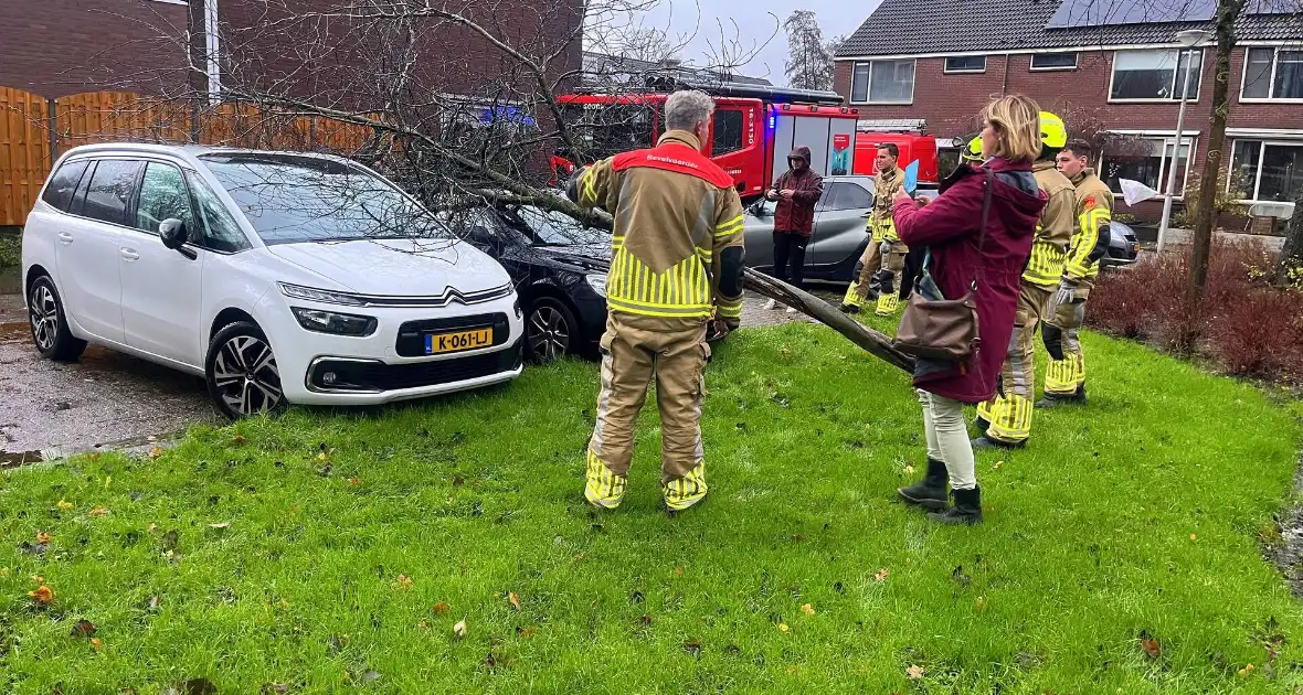 Kleine boom valt op personenauto - Foto 4