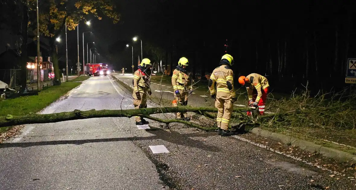 Brandweer zaagt over weg hangende boom om - Foto 1