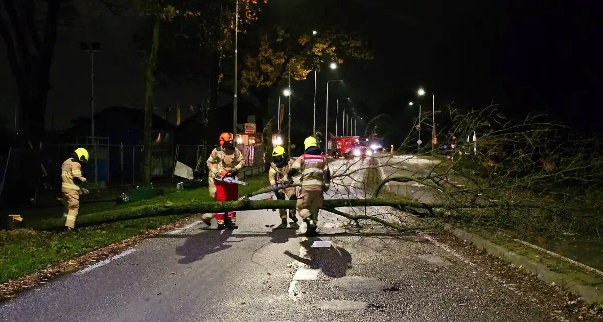 Brandweer zaagt over weg hangende boom om - Foto 2